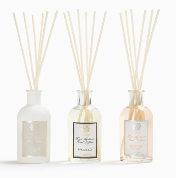 Spring Trio - Prosecco, Warm White, Pink Peony - Antica - Gaines Jewelers