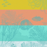 Tea Towel Sous L'Ocean Orange Cotton - Le Jacquard - Gaines Jewelers