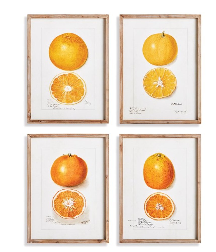 The Citrus Study - Set of 4 - Napa Home & Garden - Gaines Jewelers