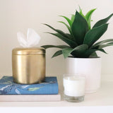 The Coco Tissue Vessel - House of Happy - Gaines Jewelers