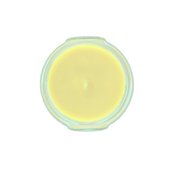 Tyler Candle Company - 3 oz Limelight Candle - Gaines Jewelers