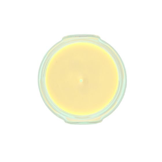 Tyler Candle Company - 3 oz Pineapple Crush Candle - Gaines Jewelers
