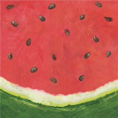 Watermelon Cocktail Napkin - Pack of 20 - Hester & Cook - Gaines Jewelers