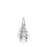10" Spruce Evergreen in Gift Box - Gaines Jewelers