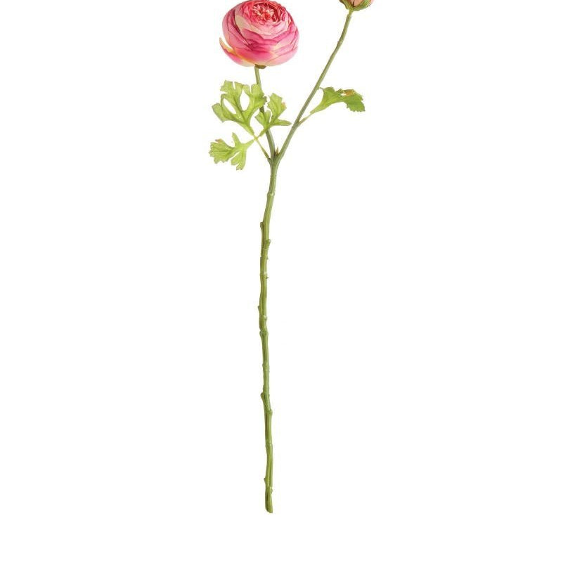 21" Ranunculus Stem - Gaines Jewelers