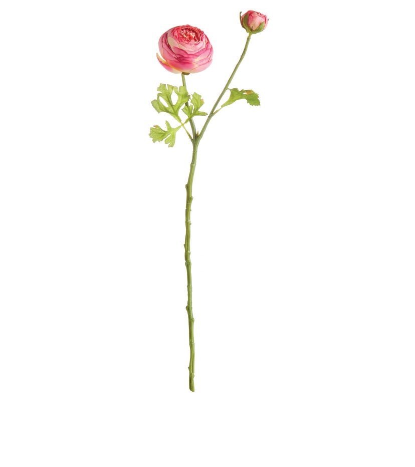 21" Ranunculus Stem - Gaines Jewelers