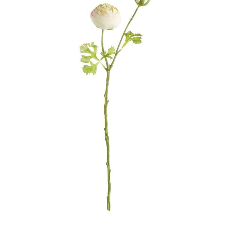 21" Ranunculus Stem - Gaines Jewelers