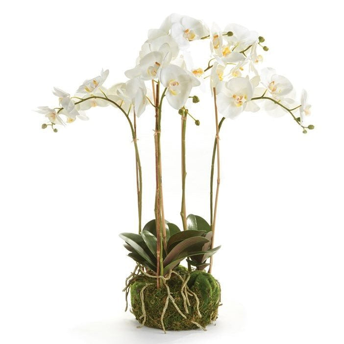 25" Pink Phalaenopsis Drop-In - Gaines Jewelers