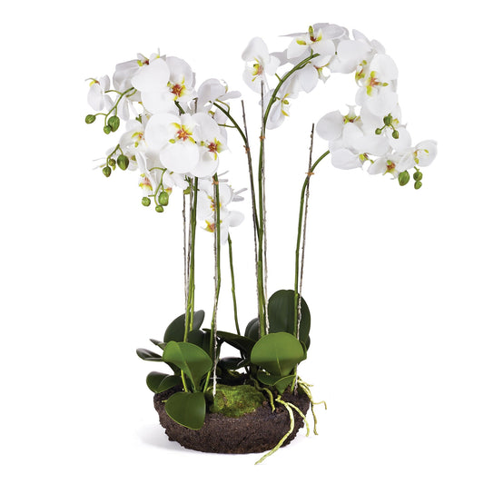 31.5"White Phalaenopsis Bowl Drop-In - Gaines Jewelers
