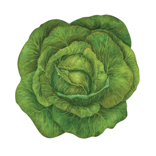 Cabbage Die-Cut Placemat - Gaines Jewelers