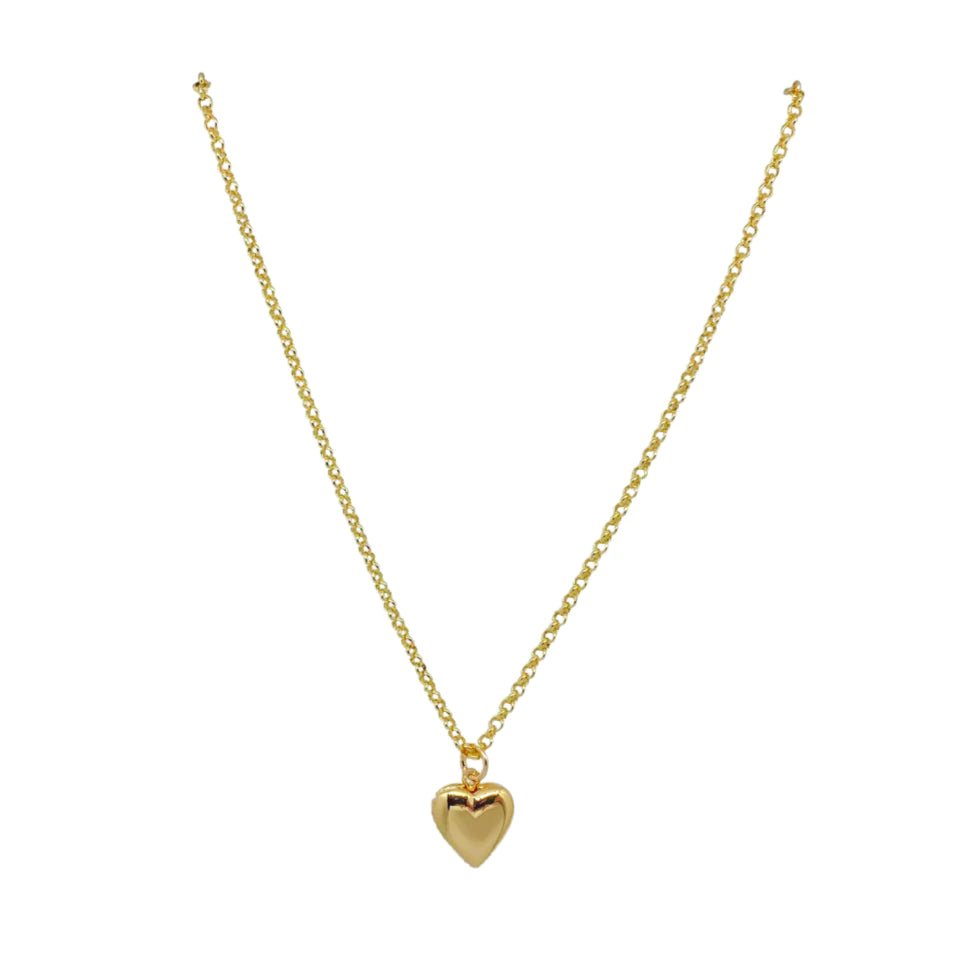 Dana Gold Heart Locket Necklace - Gaines Jewelers