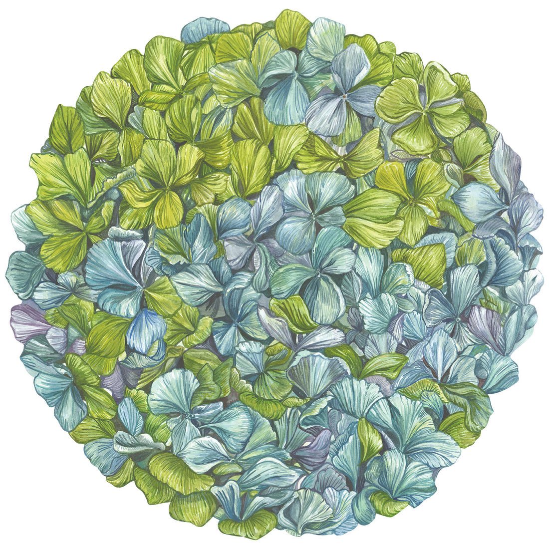 Die-Cut Hydrangea Placemat - Gaines Jewelers