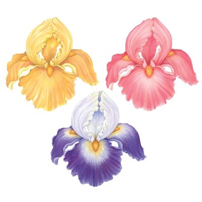 Die-Cut Placemat Iris - Gaines Jewelers