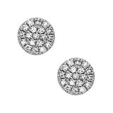 Earrings diamond pave studs 14kt white gold - Gaines Jewelers