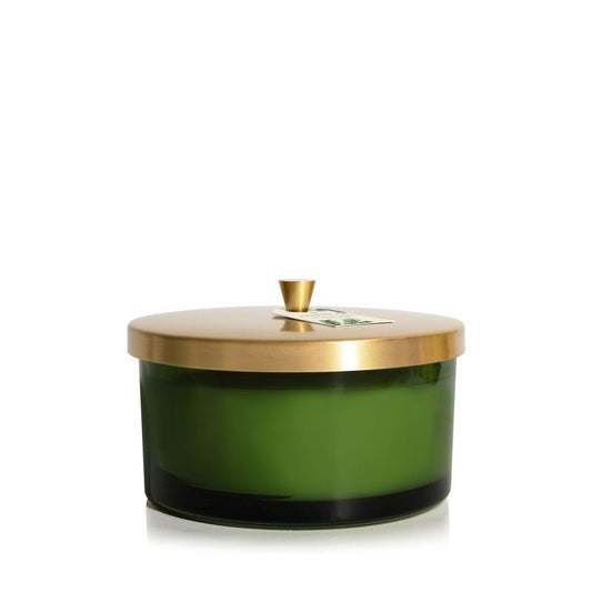 Frasier Fir Green 4-Wick Poured Candle - Gaines Jewelers