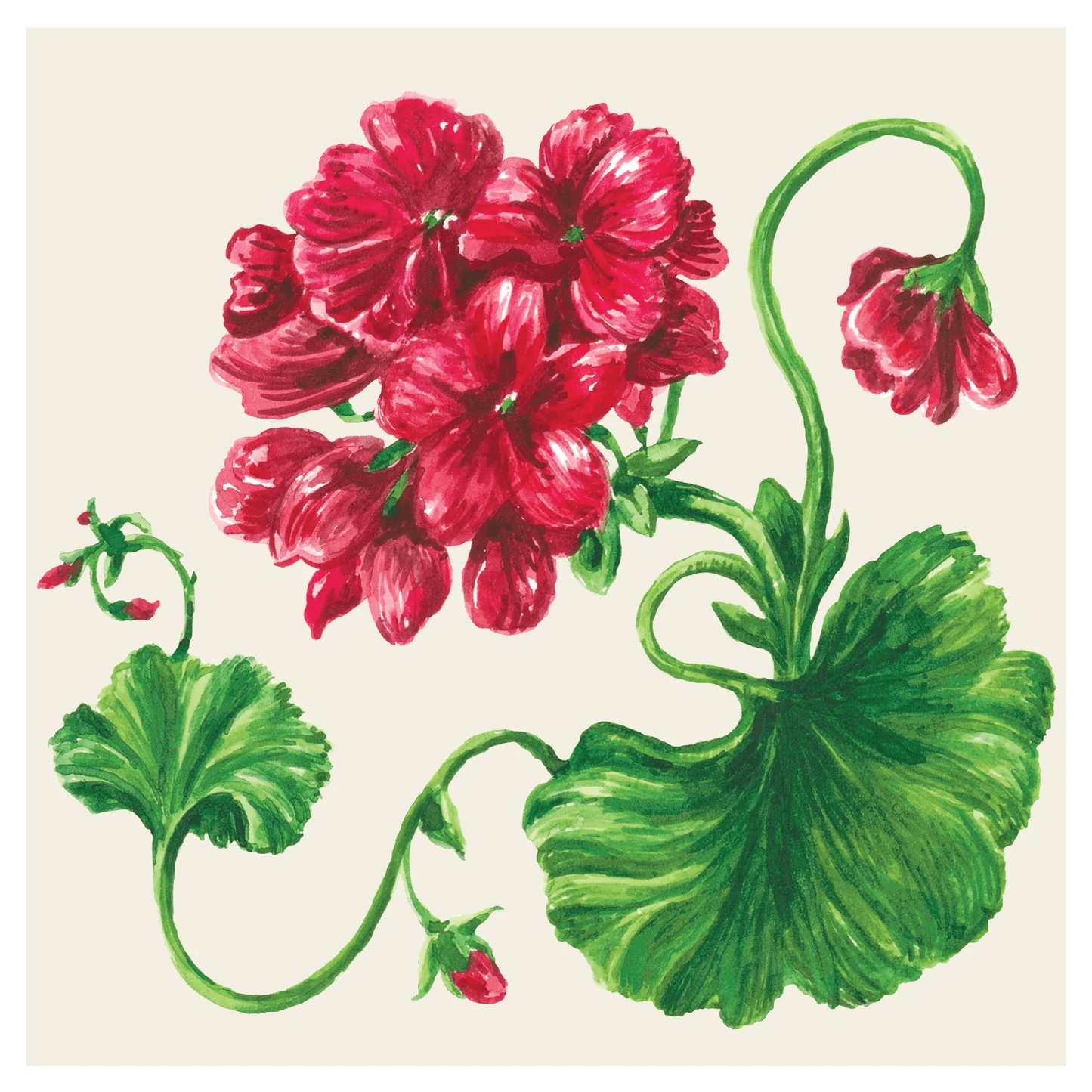 Geranium Guest Napkins - Gaines Jewelers