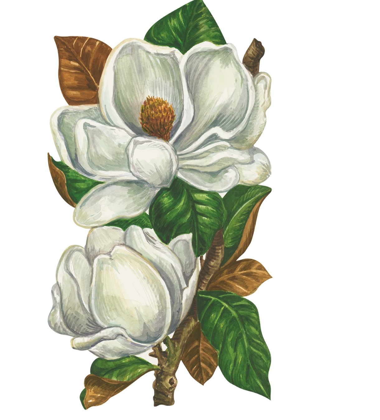 Magnolia Blooms Table Accent - Gaines Jewelers