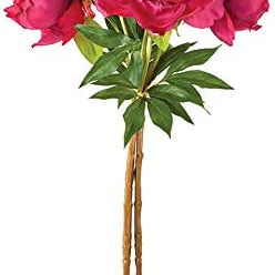 Peonies 21", Bundle of 3 - Gaines Jewelers