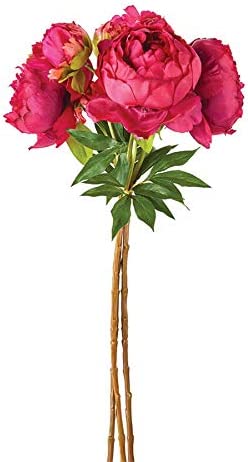 Peonies 21", Bundle of 3 - Gaines Jewelers