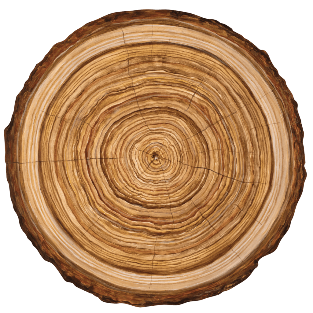 Placemat Die-Cut Wood Slice - Gaines Jewelers