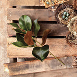 Plantation Magnolia Stem - Gaines Jewelers