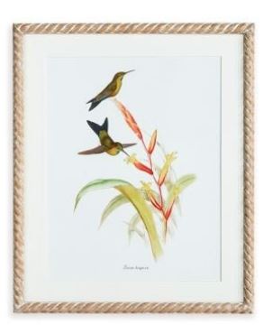 Playful Hummingbird Prints - Gaines Jewelers