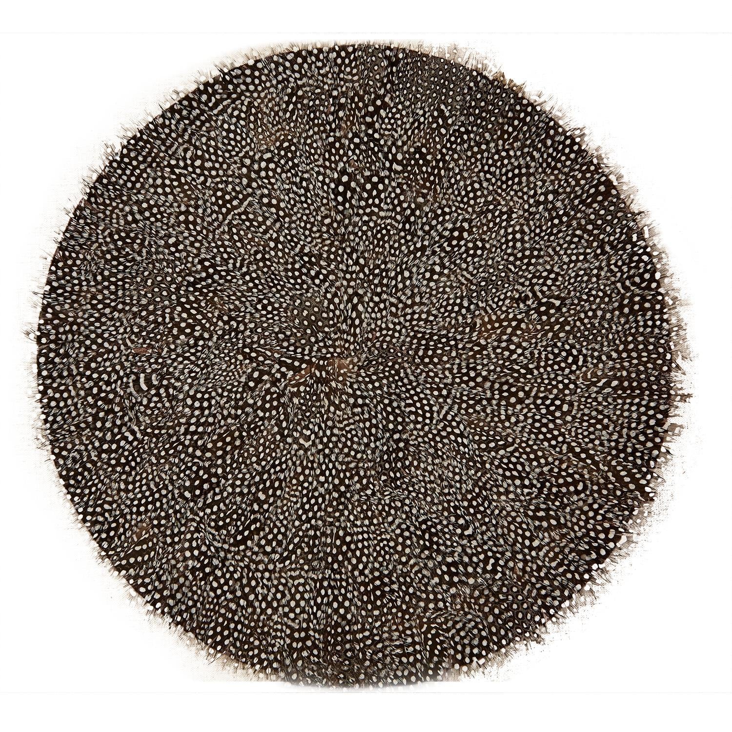 Set of 4 Guinea Fowl Feather Placemats - Feathers - Gaines Jewelers