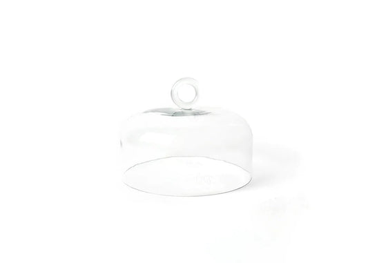 Small Ring Handle Glass Dome - Gaines Jewelers