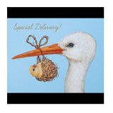 Special Delivery Card - Gaines Jewelers