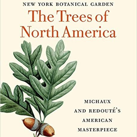 The Trees of North America: Michaux and Redouté's American Masterpiece - Gaines Jewelers