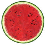 Watermelon Die-Cut Placemats - Gaines Jewelers