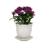 Whitewash 7.5” Planter Jardins du Monde - Gaines Jewelers